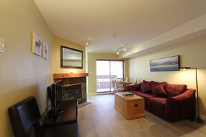 Televisión, chimenea y reproductor de DVD 