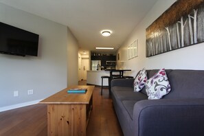 TV, fireplace, DVD player