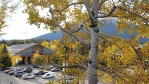 A building with a sloped roof, a parking lot with cars, and a tree with yellow leaves.