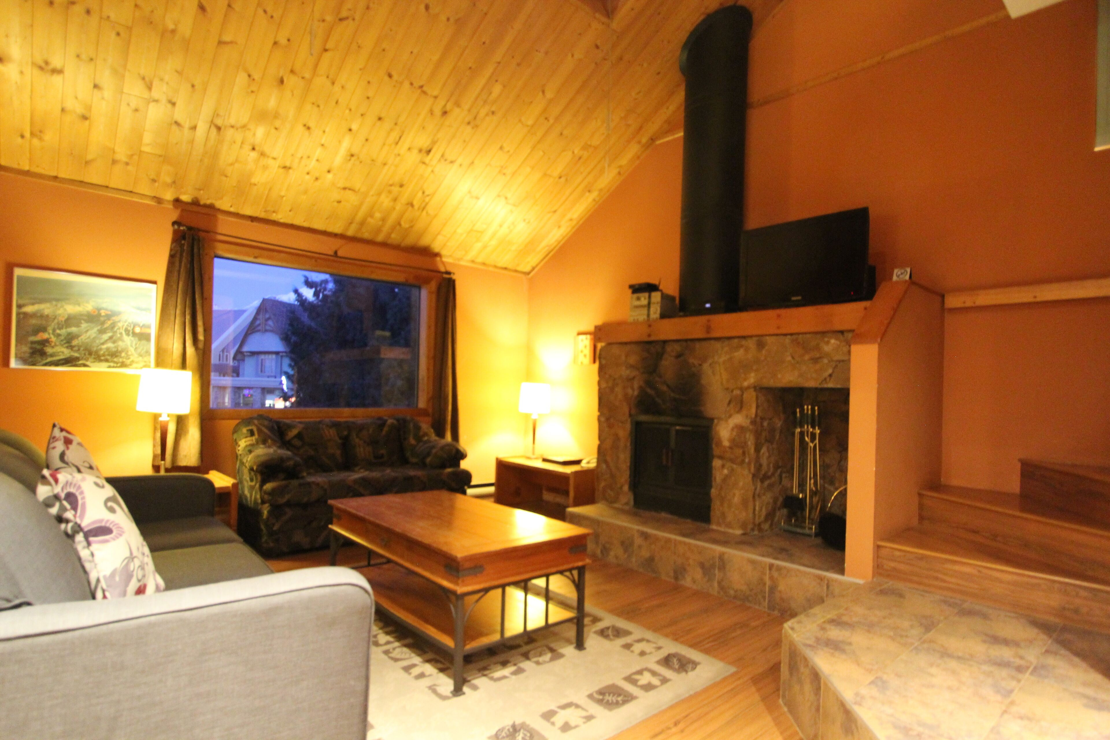 TV, fireplace, DVD player