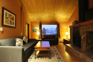Fernseher, Kamin, DVD-Player