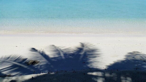 Una playa con aguas turquesas cristalinas, arena blanca y sombras de palmeras.