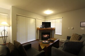 TV, fireplace, DVD player