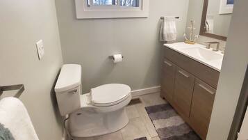 Chuveiro, secador de cabelo, toalhas de banho, papel higiênico