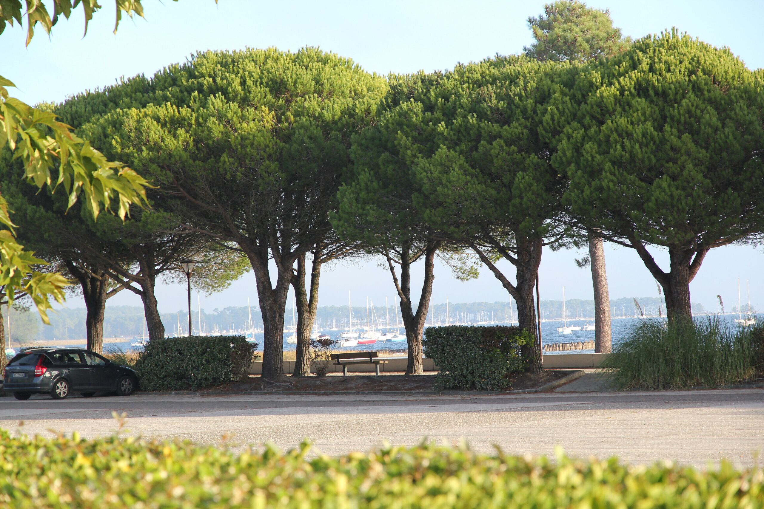 Àrea exterior de l'allotjament