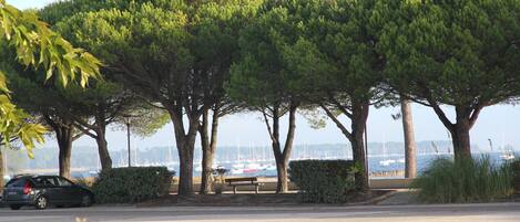 Àrea exterior de l'allotjament