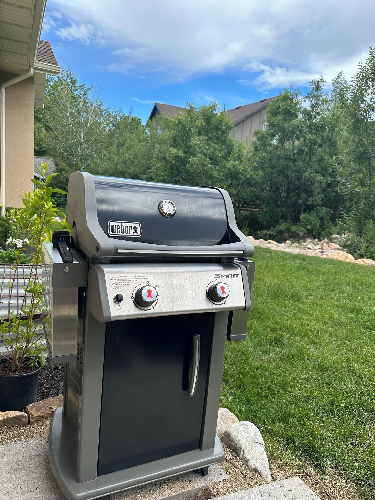 En Weber Spirit gasgrill med to betjeningsknapper, placeret på en beton terrasse med græsplæne og træer i baggrunden.