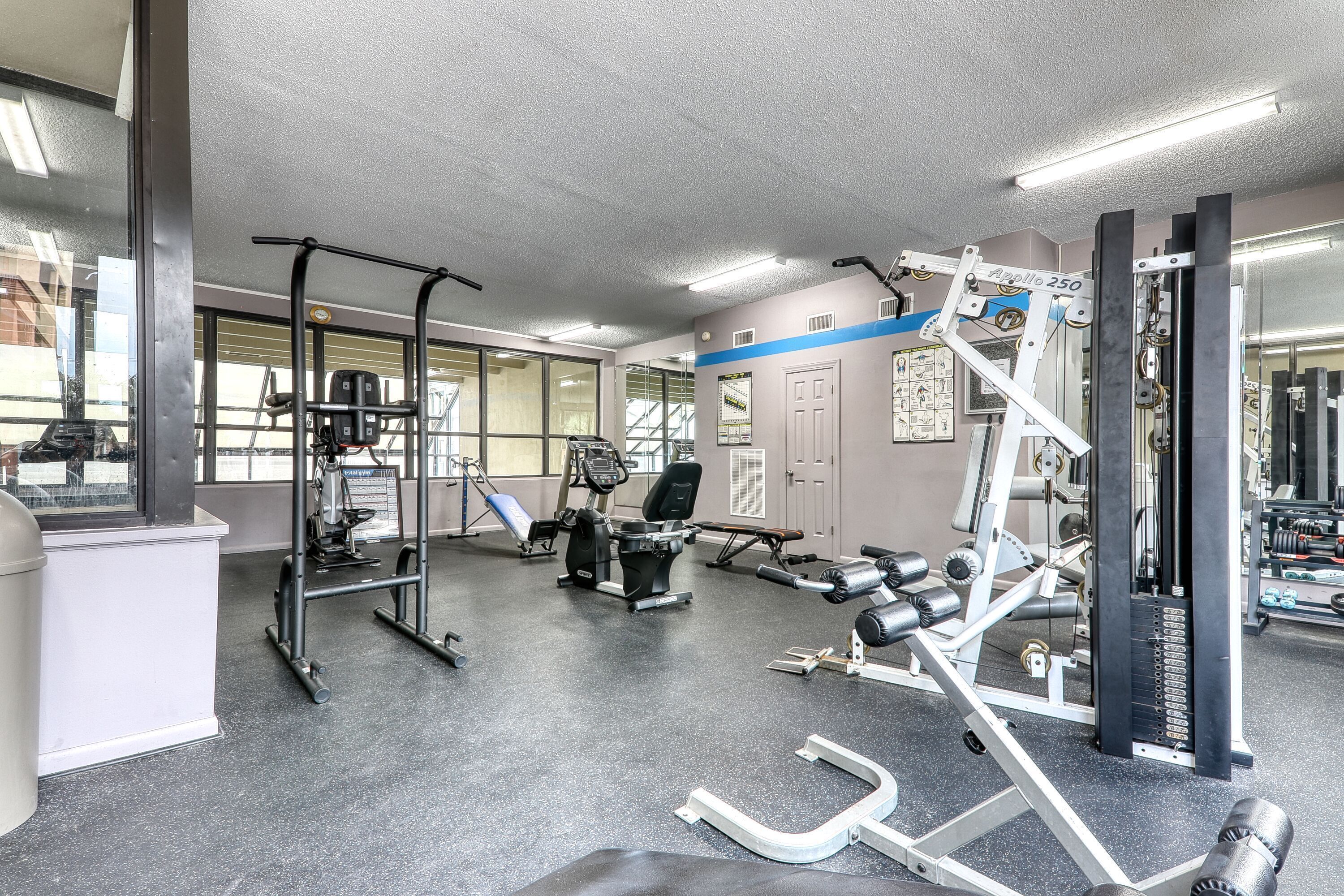 A gym with various exercise equipment, including a squat rack, bench press, and weight machines.