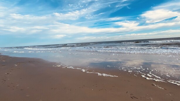 A beach with a clear sky and ocean waves. - Brigantine Beach Gem!! Rated "Exceptional" by Guests.
Top of the Line (Brigantine)