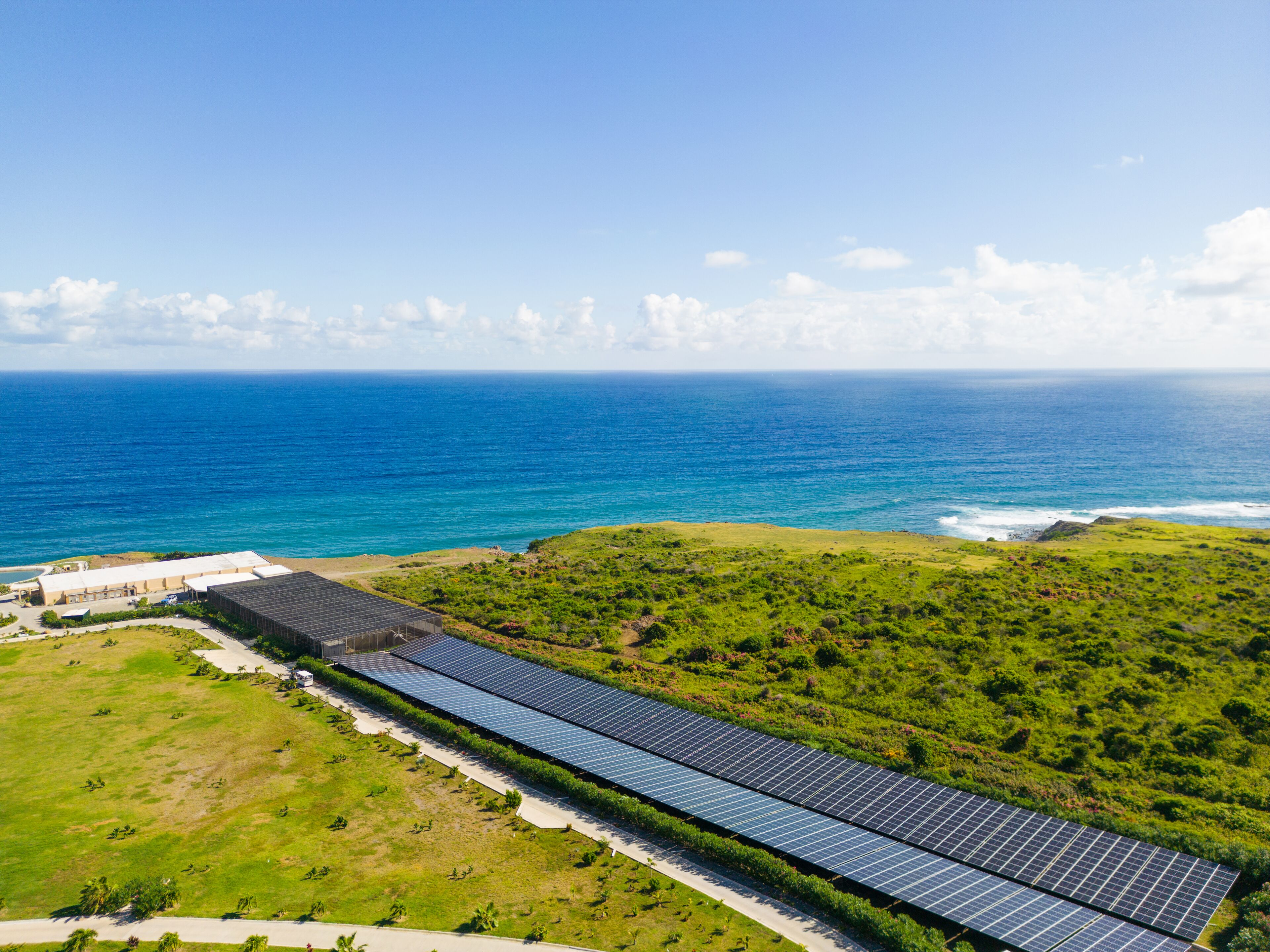 A solar farm with rows of panels, a grassy area, and a view of the ocean.
