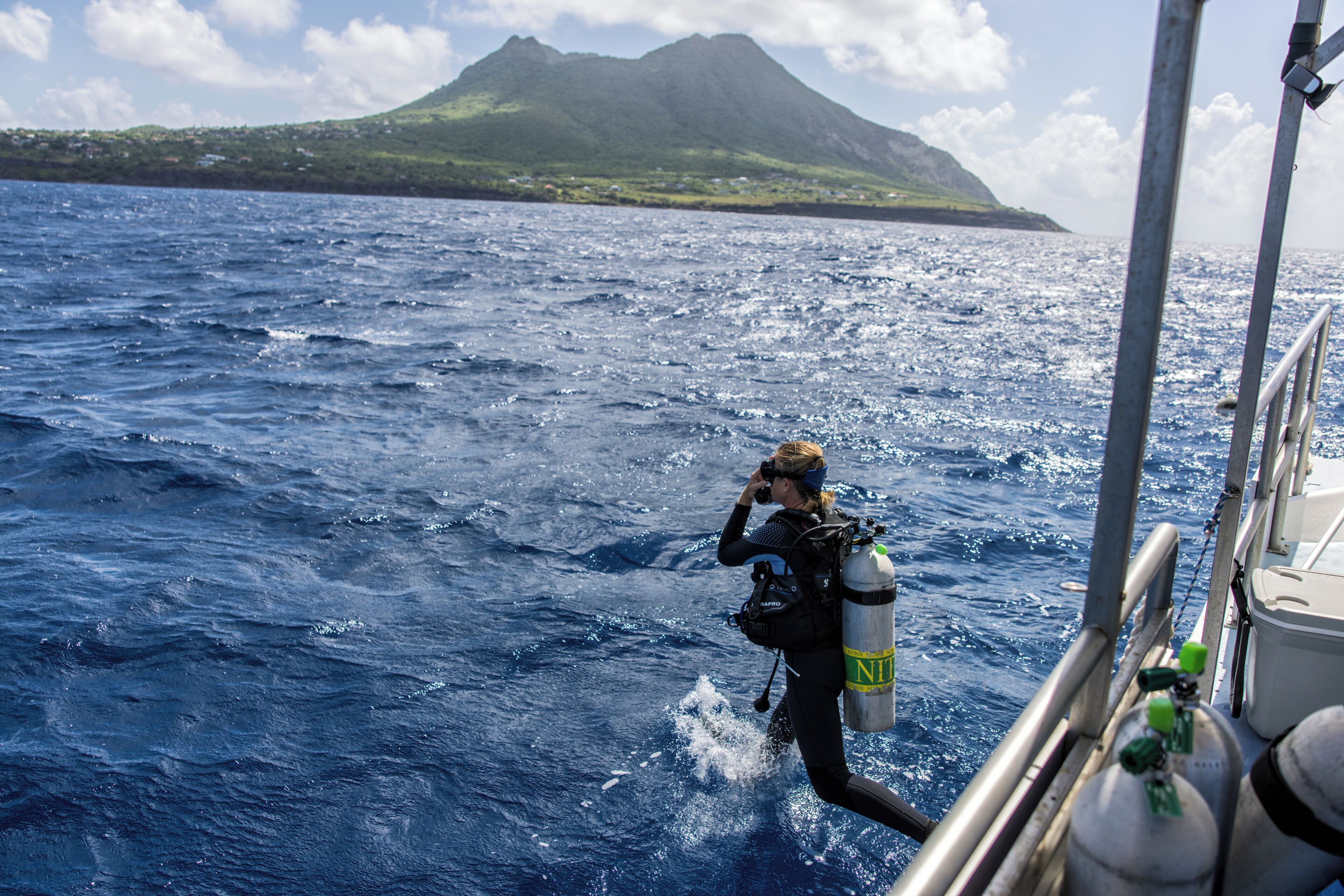 A diver in a wetsuit with a scuba tank, taking a photograph in the ocean.