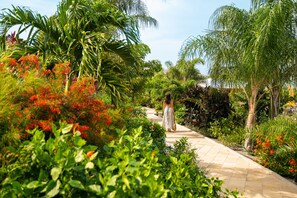 Jardin