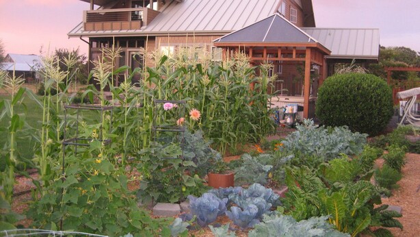 Una casa con un jardín amplio, que incluye diversas verduras y flores.
