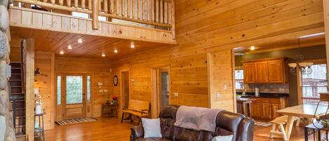 Télévision, cheminée, jeux vidéo, lecteur de DVD