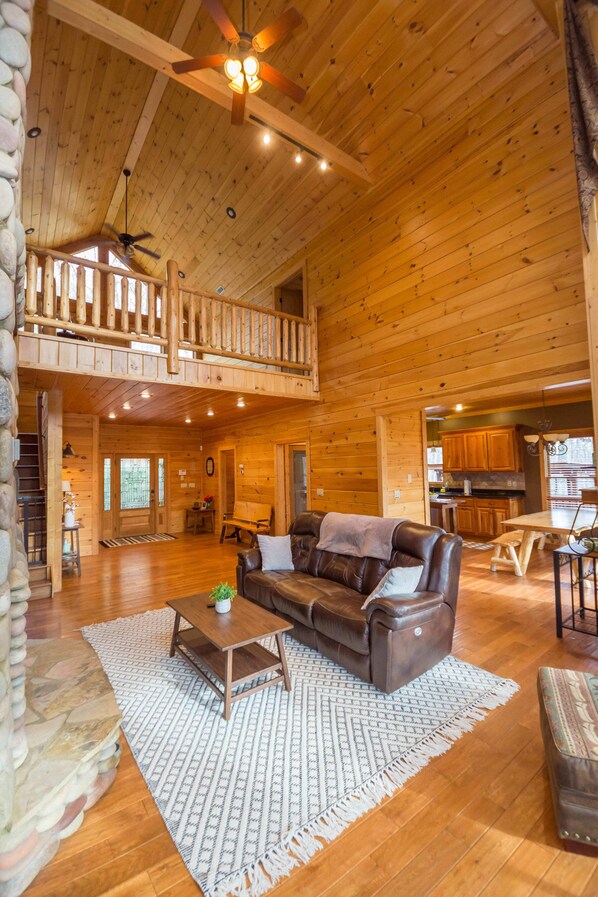 TV, fireplace, video games, DVD player