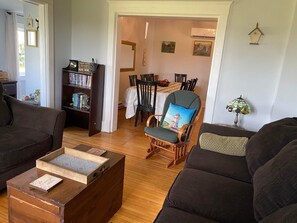 Älytelevisio, takka, DVD-soitin, kirjoja