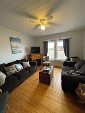 Älytelevisio, takka, DVD-soitin, kirjoja