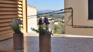 To potteplanter på en balkon med udsigt til et bjergrigt landskab.