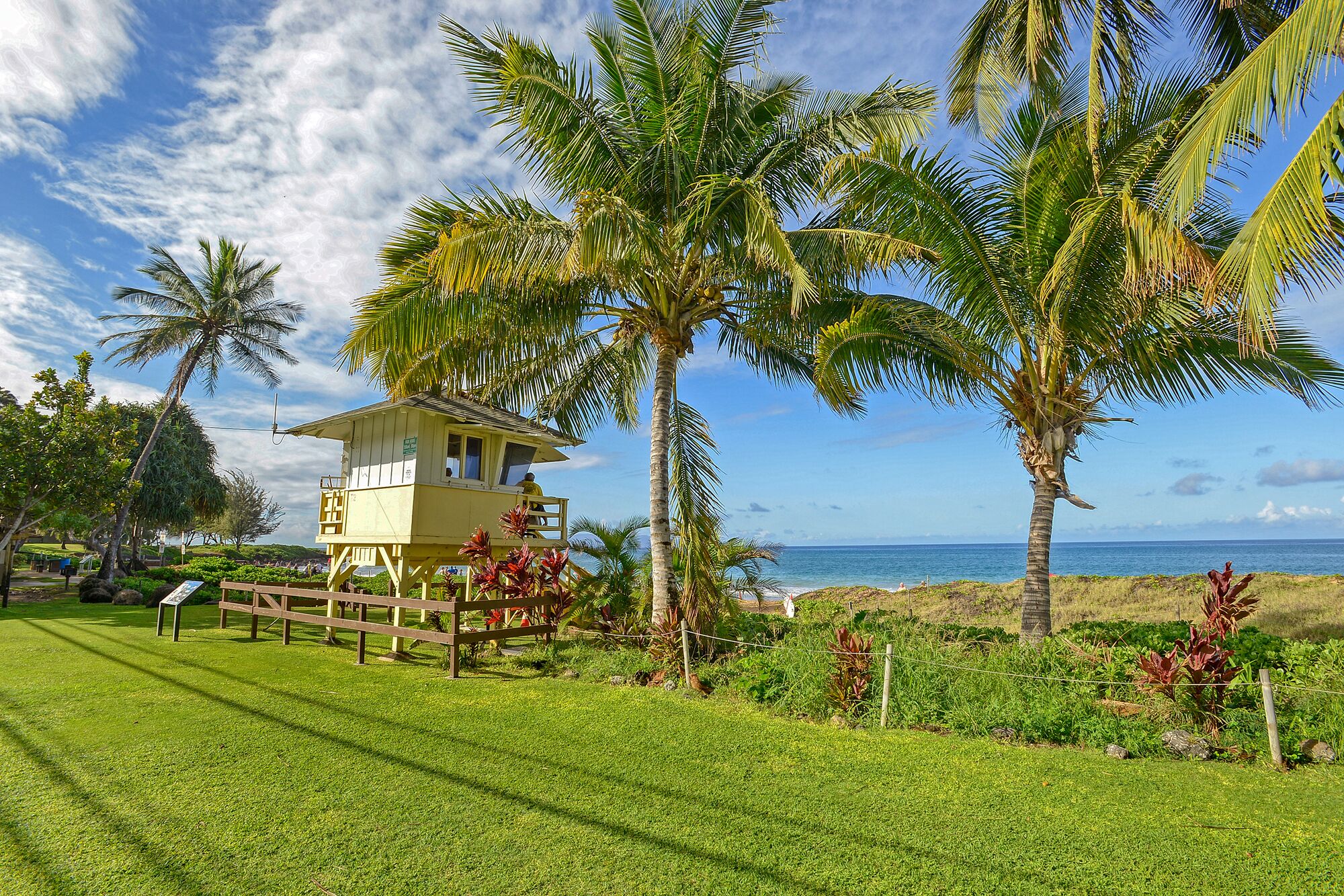 Vista de la playa con una torre de salvavidas, palmeras y una zona cubierta de césped.