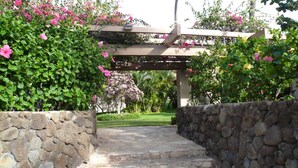 Una escalera de piedra que sube a una pérgola cubierta de plantas trepadoras.