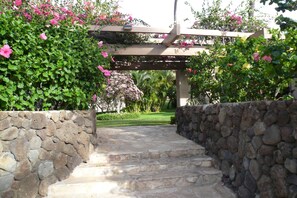 Property grounds - Best Beaches! Remodeled End Unit for Luxury and Privacy (Kihei)