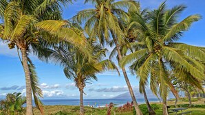 Una playa con palmeras, un área con césped y vista al océano.