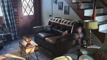 Smart TV, fireplace, books, stereo