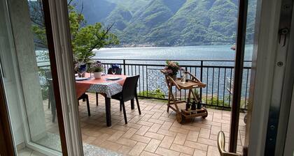 Water Front Property with Lake Access & Boat Dock