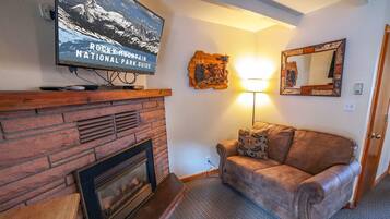 Télévision, cheminée, lecteur de DVD, vidéothèque