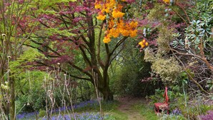 Un sentier de jardin bordé de différentes plantes et arbres.