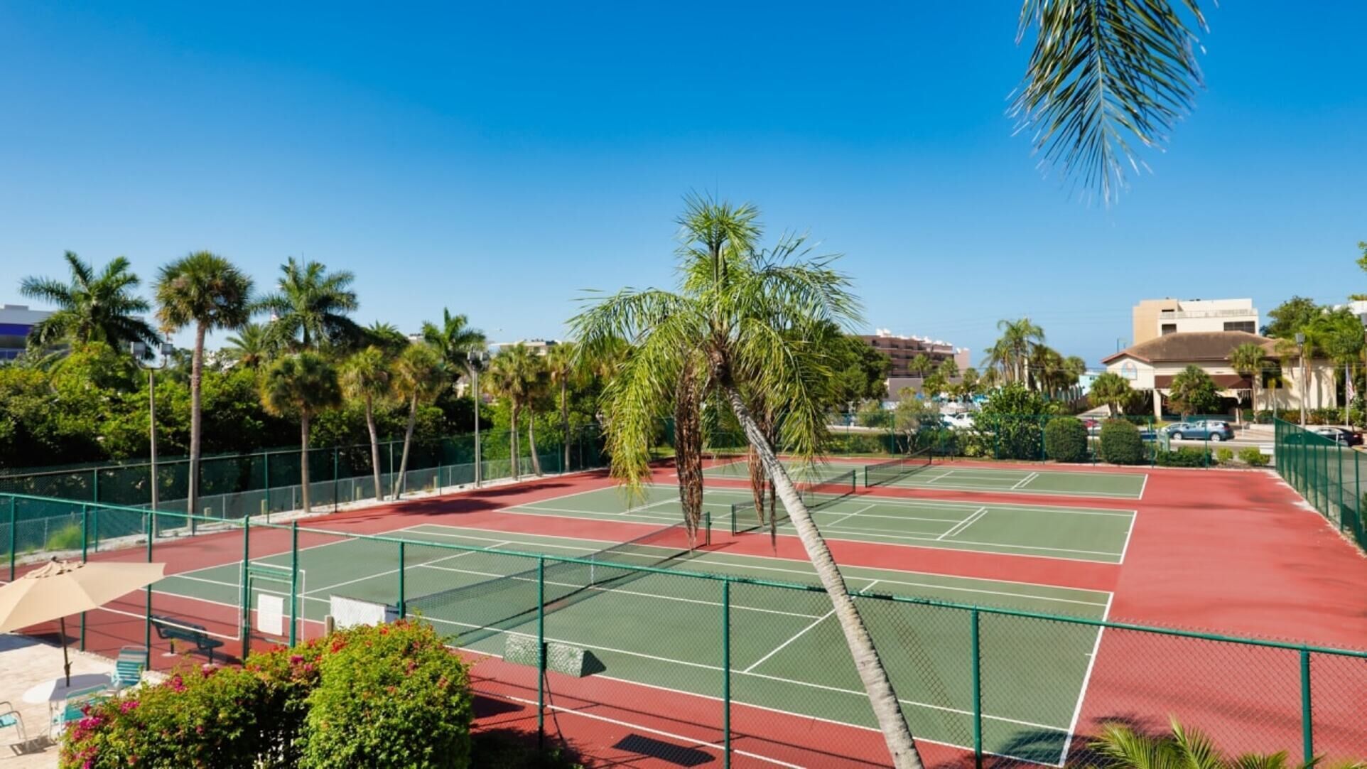 Una cancha de tenis con valla verde, palmeras y un cielo azul despejado.
