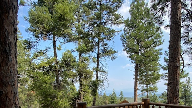 Un pontile in legno con tavolo e sedie, circondato da alte conifere e un cielo sereno.