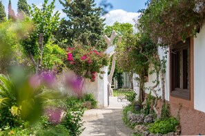 Uma trilha que leva a um edifício rodeado por vegetação exuberante e plantas floridas.