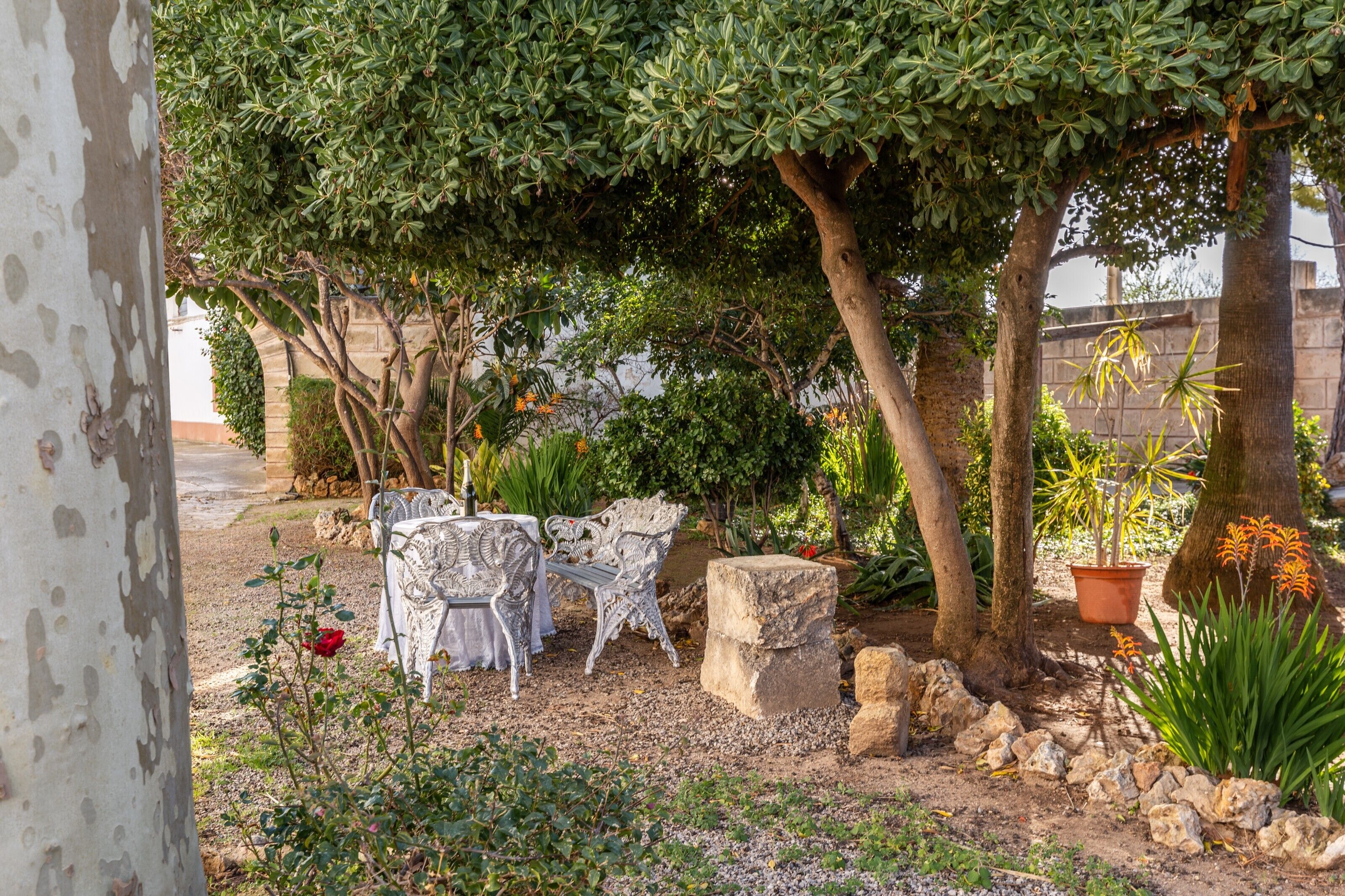 Een terras met tafels en stoelen, omringd door bomen en planten.