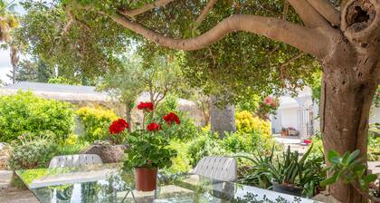 Luxury Villa "Moli dels Reis" with Private Pool, Tennis Court, A/C and Wi-Fi