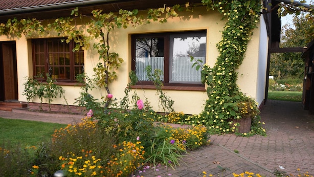 A house with a brick pathway, a garden with various flowers, and a window with a curtain.