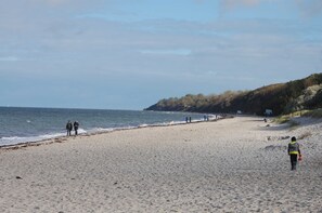 A beach with people walking along the shore, a dog, and a hilly landscape in the background.
