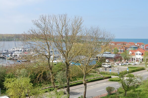 A marina with boats, a road with a pedestrian path, and residential buildings with red roofs.