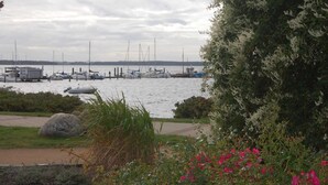 A marina with boats docked, a grassy area with rocks, and a tree with white flowers. - Ferienwohnung Rerik - Ferienwohnung (Rerik)