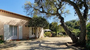 Ein Haus mit Kopfsteinpflasterauffahrt, einem Baum im Vorgarten und einem Garten mit verschiedenen Pflanzen.