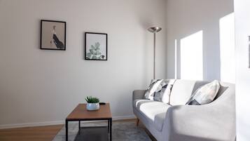 Fernseher, BĂŒcher, Videothek