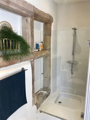 Combined shower/bathtub, hair dryer, bidet, towels - calm and nature, with private pool (vindrac-alayrac)