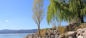 Just 10 minutes from the Gorges du Verdon! Beautiful and spacious villa with swimming pool 