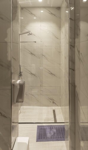 Douche, serviettes fournies, savon, papier de toilette