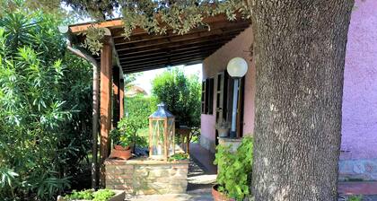 Country House Donoratico - Cottage Oleandro
