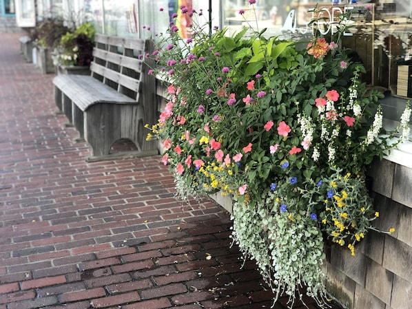 Stroll through a serene public space, surrounded by lush greenery and a beautifully maintained planter.