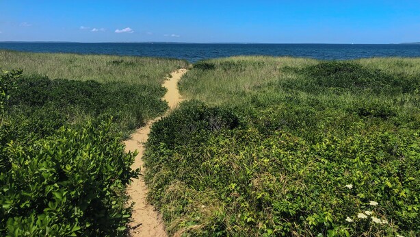 A coastal path leading to the sea with dense vegetation on either side. - Immaculate Coastal Retreat! (Tisbury)