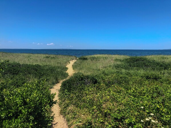 Chaises longues, serviettes de plage