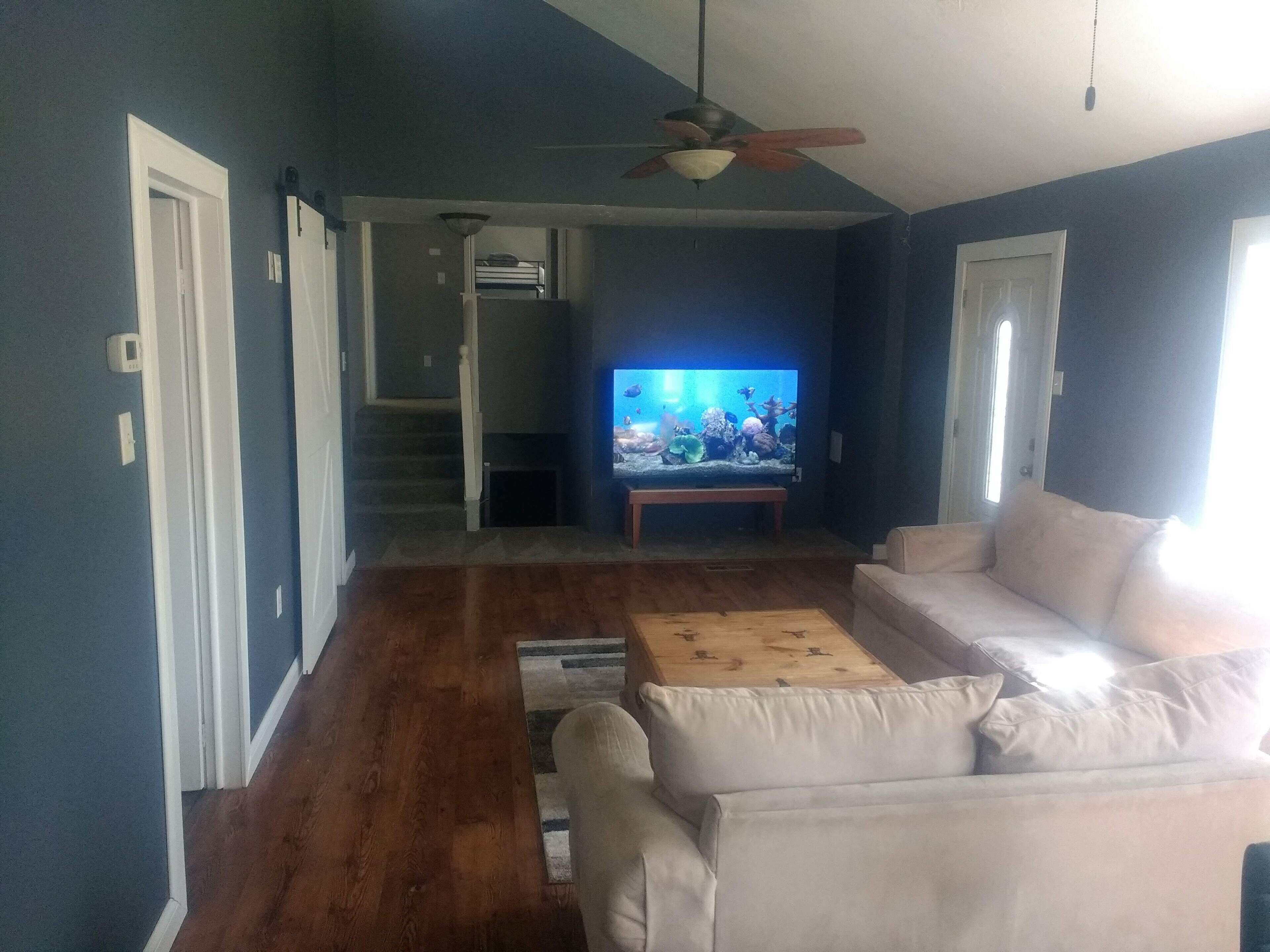 Smart TV, video games, DVD player