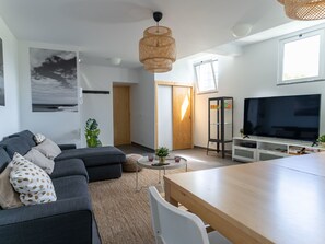 TV, fireplace, books